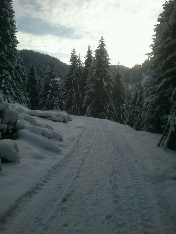 Pension Alpenstern โอเบอเอา ภายนอก รูปภาพ